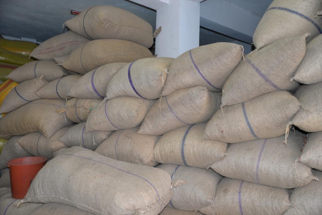 FİSKOBİRLİK 2018 ürünü fındık alımına başladı