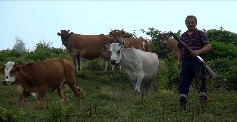 Trabzon’da, Yaylada tüfekli nöbet