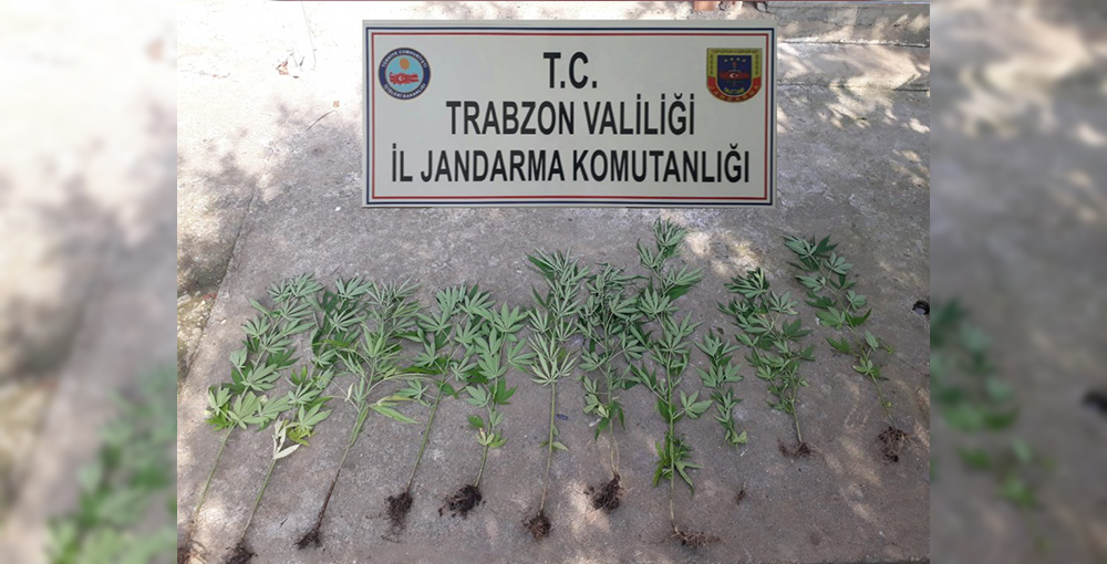 Trabzon’da uyuşturucu operasyonu