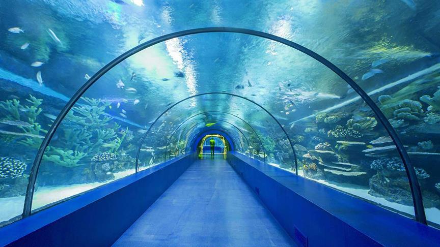 Trabzon’da Tünel Akvaryum simge proje olacak