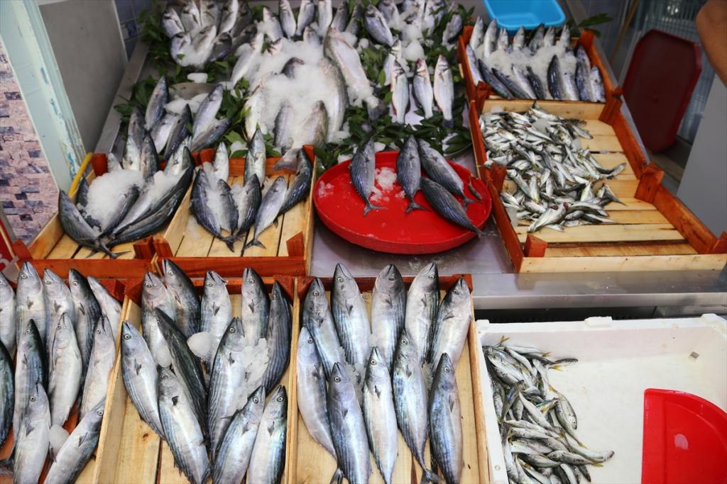 Olumsuz hava balık fiyatlarını artırdı