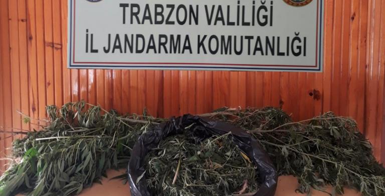 Trabzon’da uyuşturucu operasyonu
