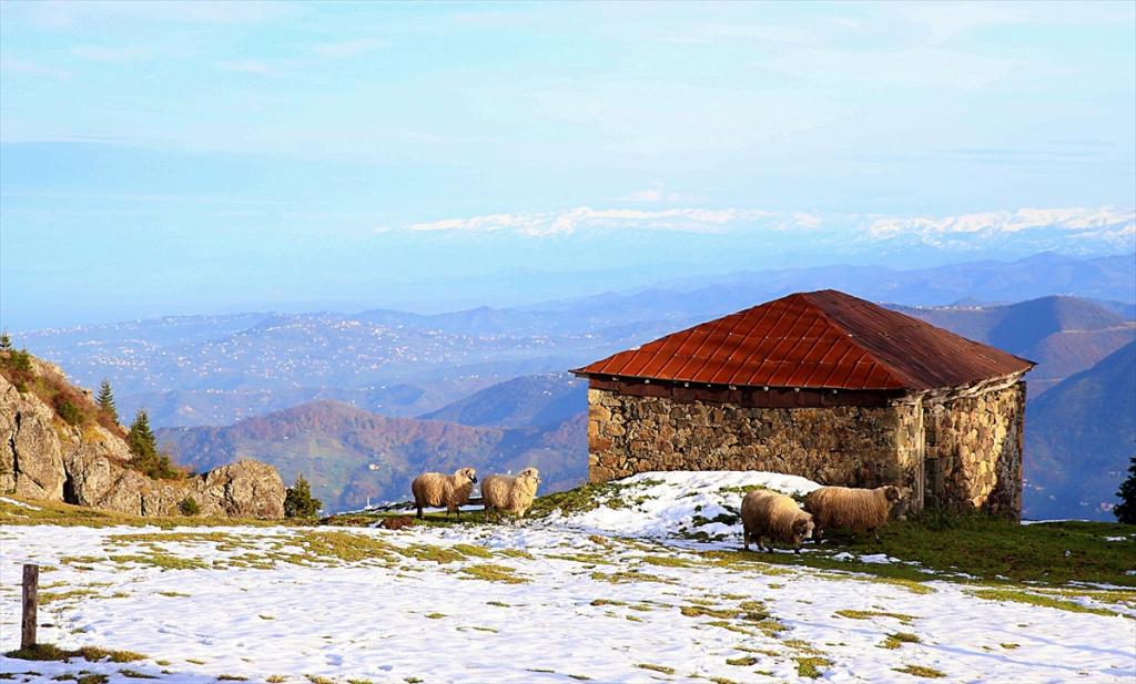 “Hıdırnebi” Uzungöl’e alternatif olacak