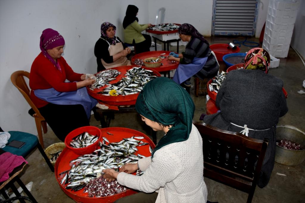 Trabzon’da balıkhane ihtiyaç sahibi kadınlara ekmek kapısı oldu