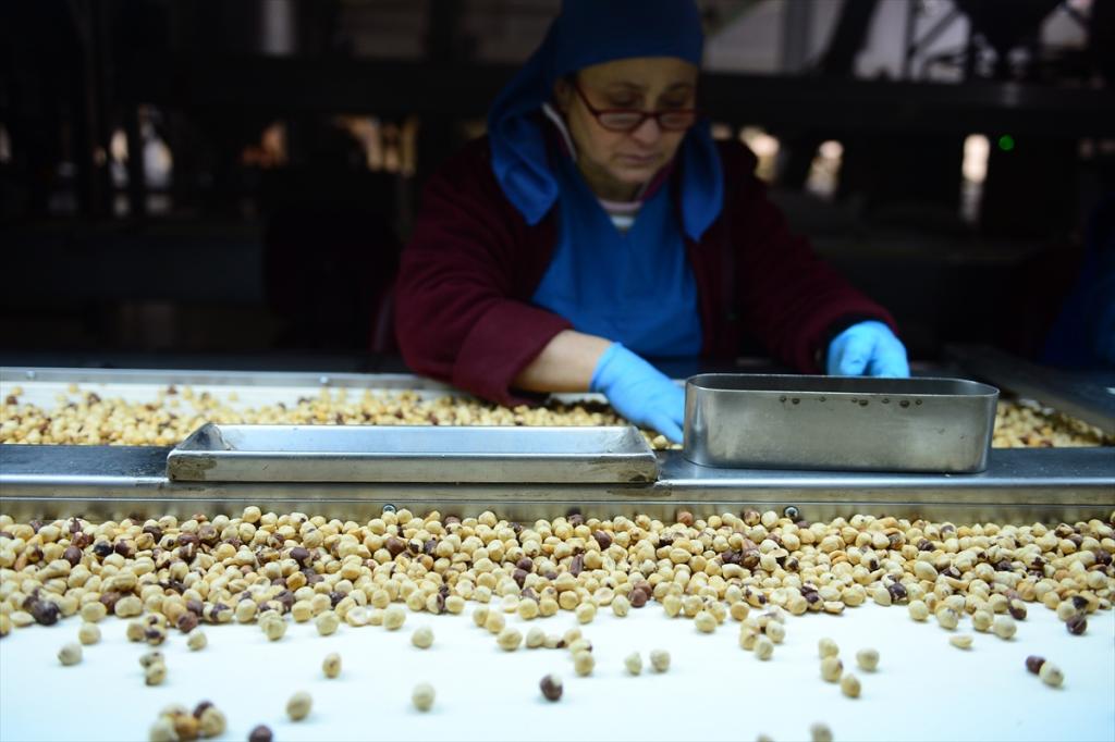 FİSKOBİRLİK, TMO’dan gelen fındığı 1 yıl içerisinde işleyip nakde çevirecek