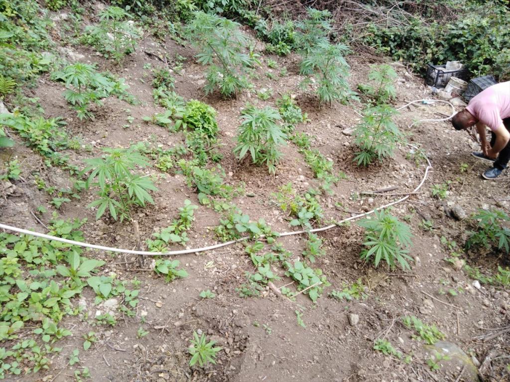 Trabzon’da uyuşturucu operasyonu