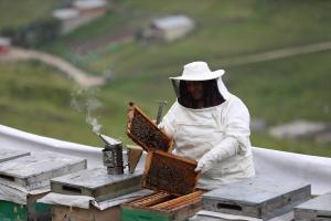 Anzer balının kilogramı bin lira oldu