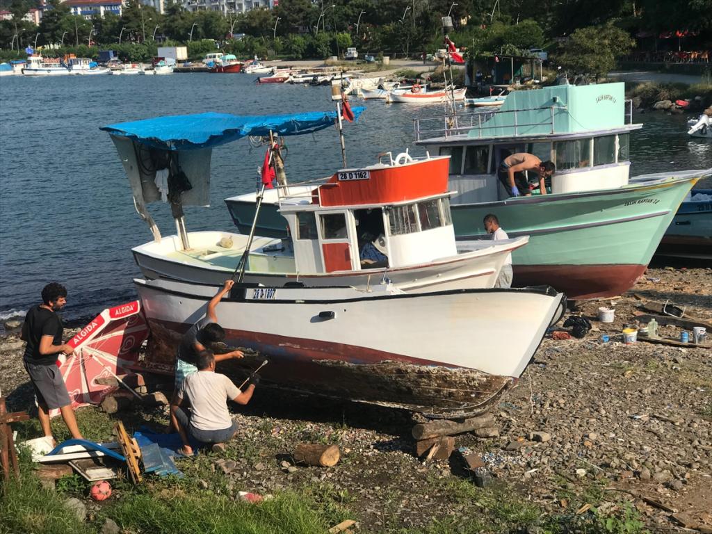 Karadenizli balıkçı palamuttan umutlu değil