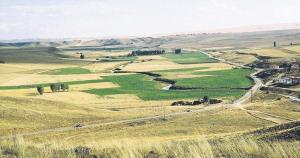 90 bin vatandaşın mülkiyet sorunu çözülecek