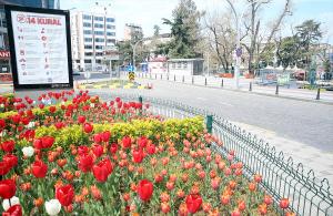 Trabzon’da sokağa çıkma kısıtlaması