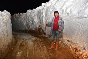 Trabzon’da yaylada mahsur kalan çoban ve sürüsü kurtarıldı