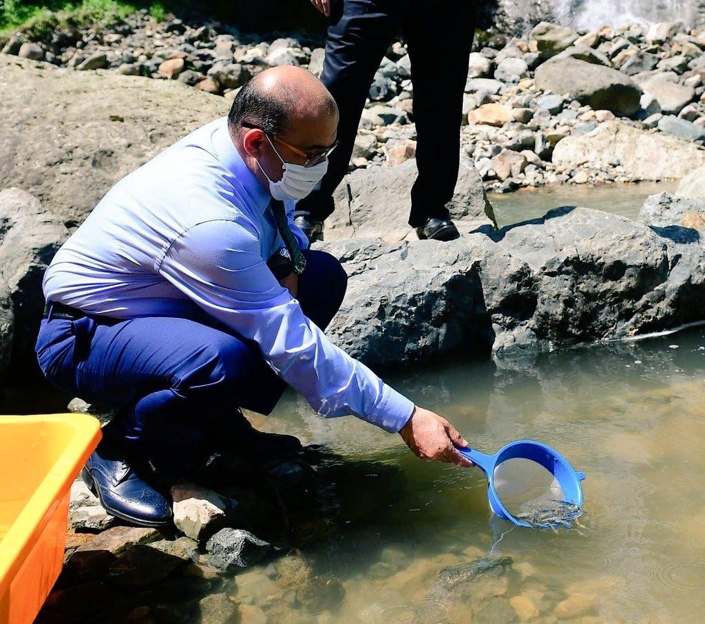 Manahoz Deresine 6 bin kırmızı benekli yavru alabalık salındı