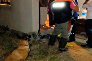 Alzheimer hastası kayıp şahsı iz takip köpeği buldu