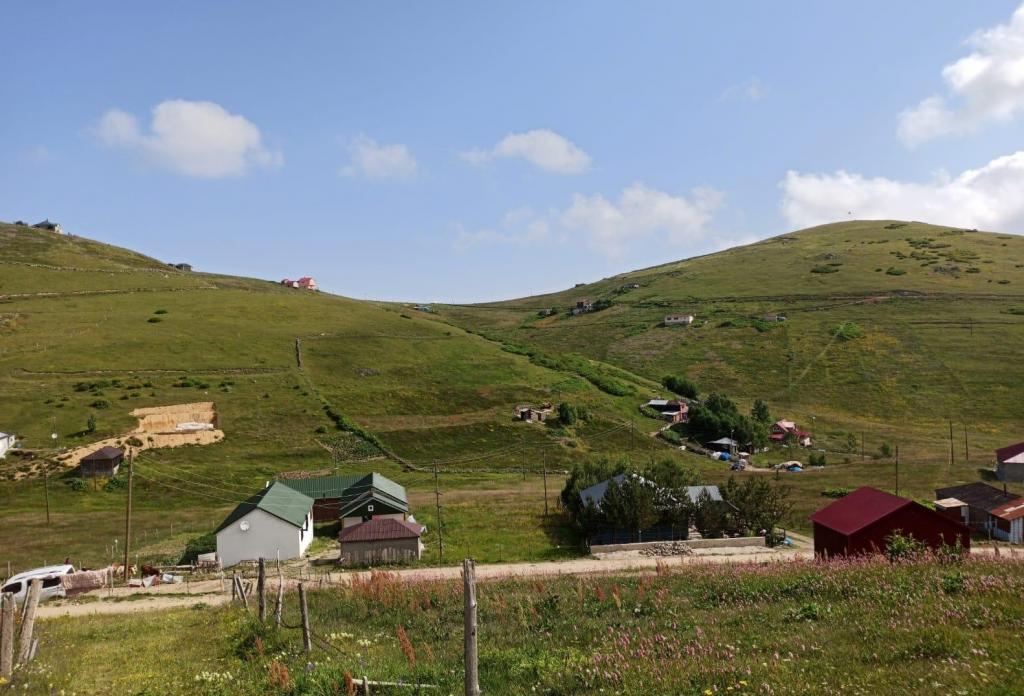 Honefter Yaylası sakinleri çaresizlik içinde içme suyu ve elektrik sorunlarının çözülmesini bekliyor