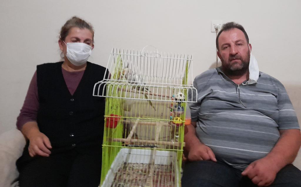 Kayıp papağanını getirene bin lira ödül verecek