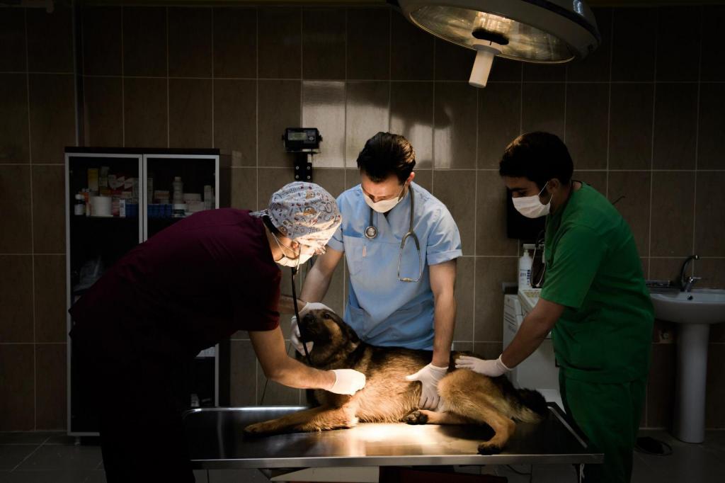 Aşılayın Aşılattırın Hayat Kurtarın