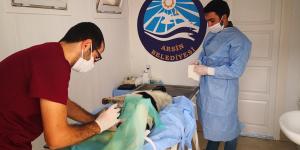 Sahipsiz Hayvanlar Sağlık Kabini Hizmete Açıldı