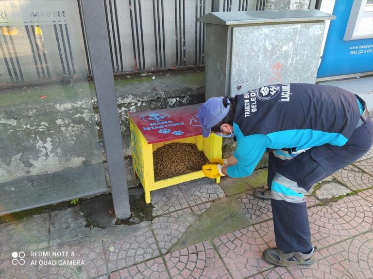 Trabzon’da sokak hayvanları için mama bırakıldı