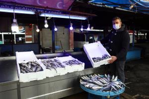 Trabzon’da hamsinin kilogramı 20-25 liradan satılıyor