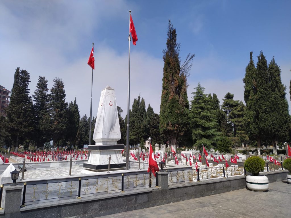Trabzon Büyükşehir Belediyesinden kesilen selvi ağaçlarıyla ilgili açıklama:
