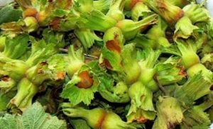 Trabzon altıncı sırada yer aldı