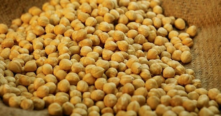 Fındık ihracatında Ülke çesitligi artıyor