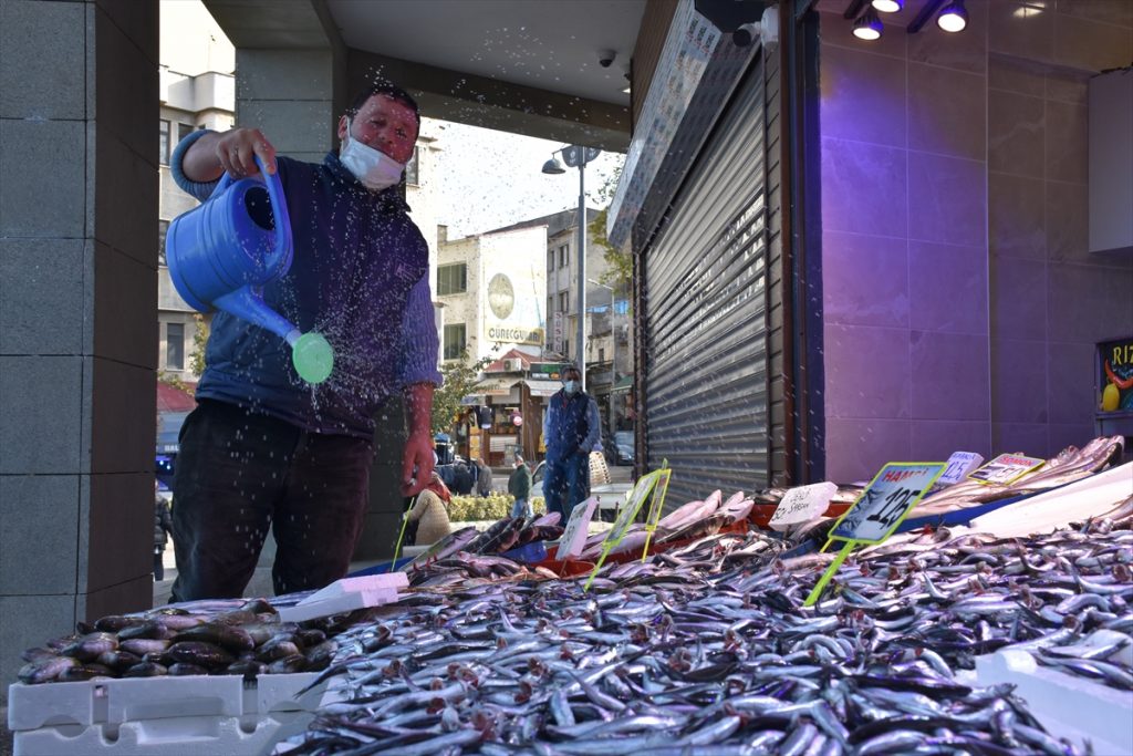 Trabzonlu balıkçıların tezgahlarını mezgit ve istavrit süslüyor