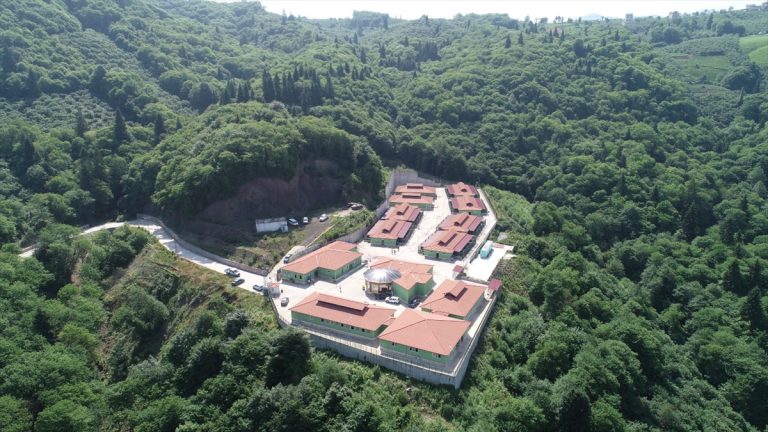 Trabzon’da son bir yılda sahipsiz 3 bin 317 köpek ve bin 332 kedi kısırlaştırıldı