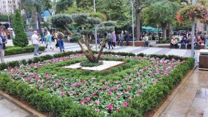 Büyükşehir Belediyesi Trabzon’u çiçeklerle donatıyor