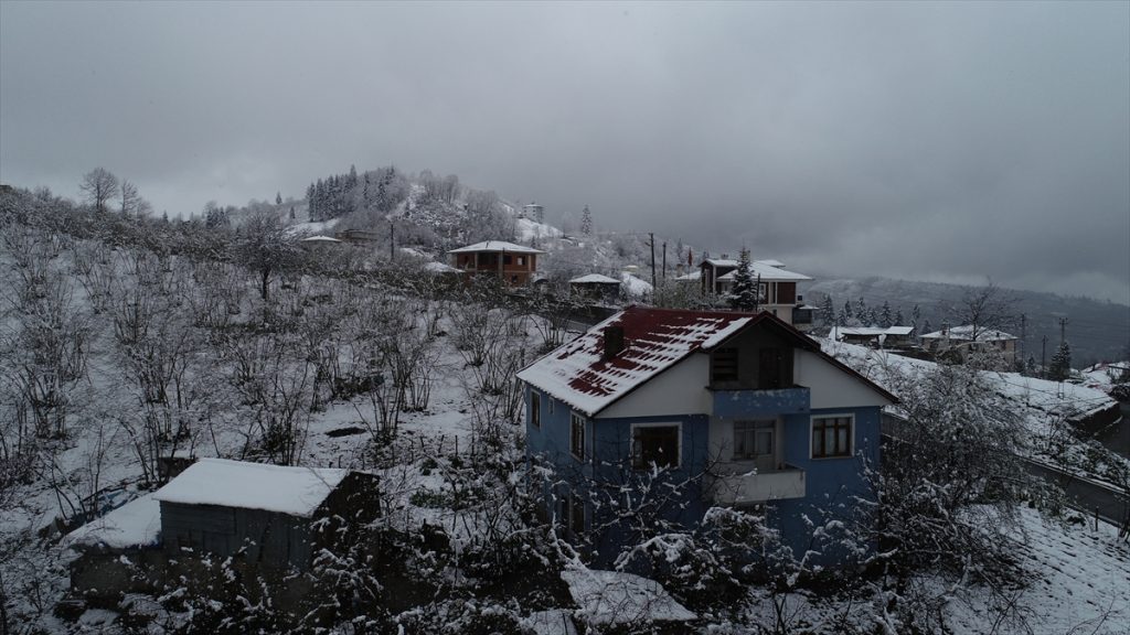 Fındık üreticileri bahçelerini soğuktan “dumanla” koruyacak