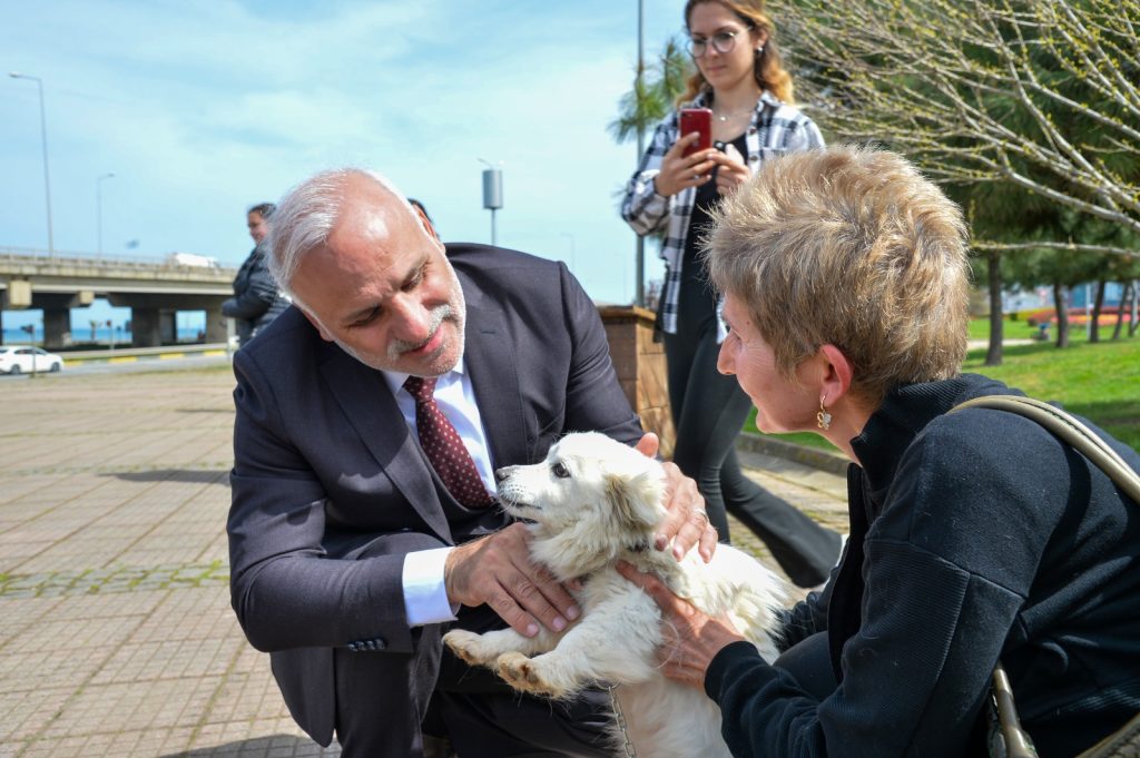 Büyükşehirden sahipsiz canlara özel etkinlik