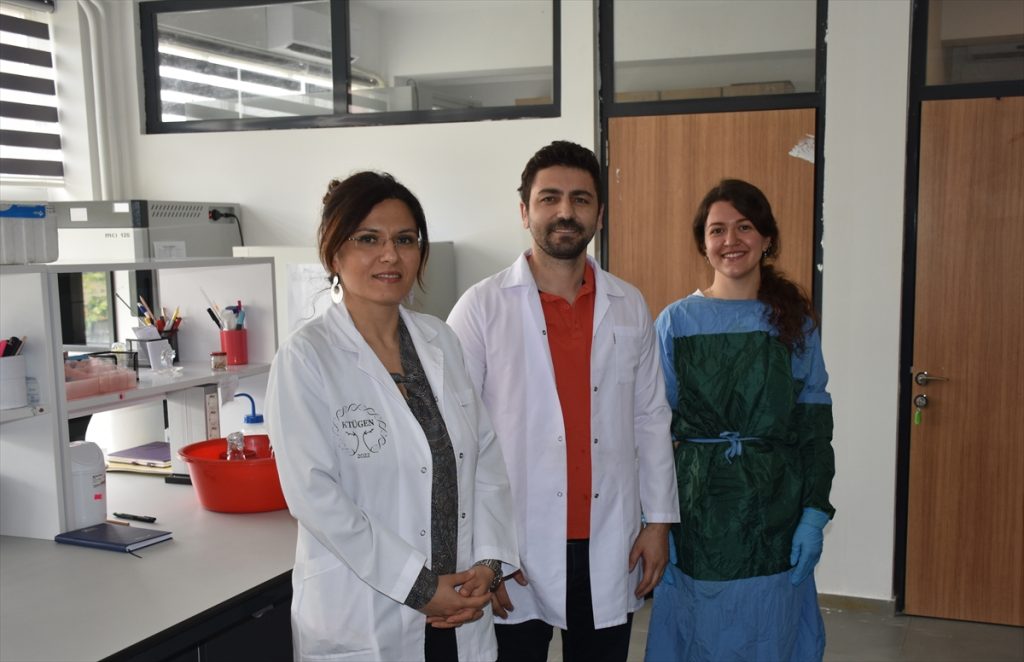 KTÜ’de arı zehrine yönelik TÜBİTAK destekli proje yürütülüyor