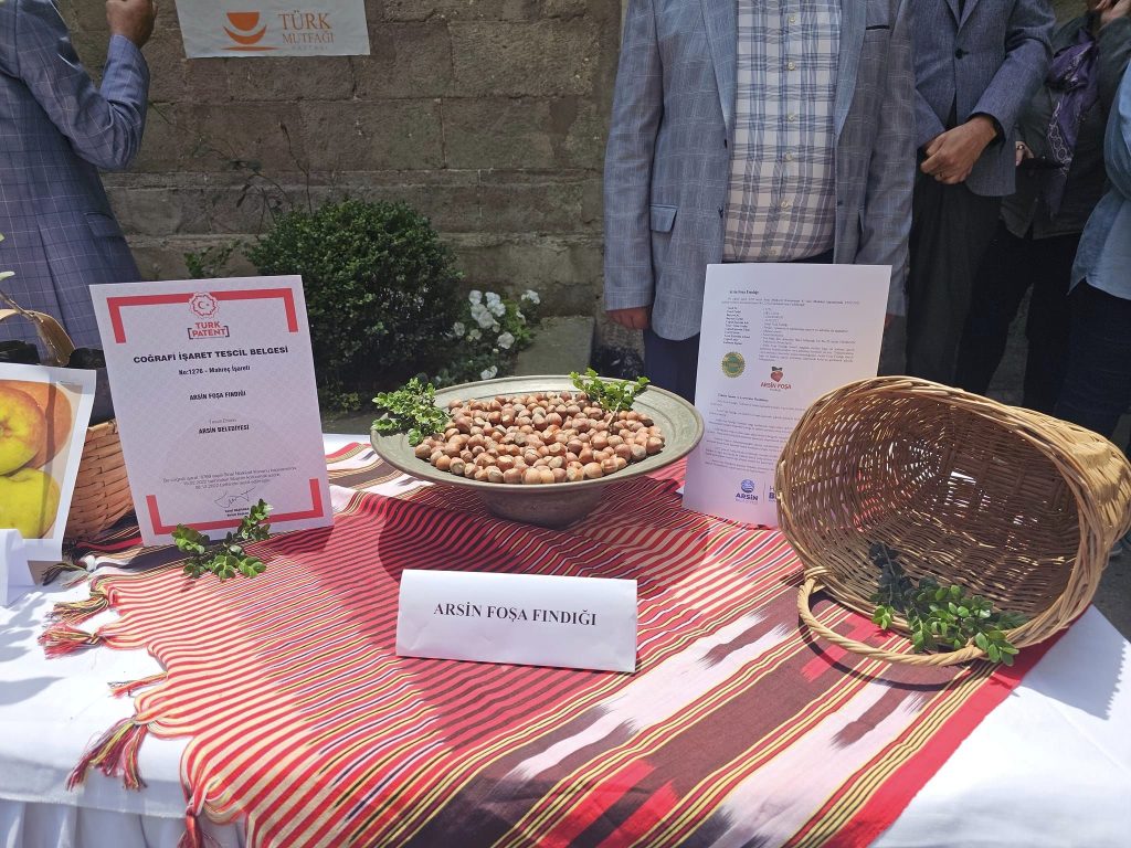 Coğrafi işaretli Arsin Foşa fındığı tanıtıldı