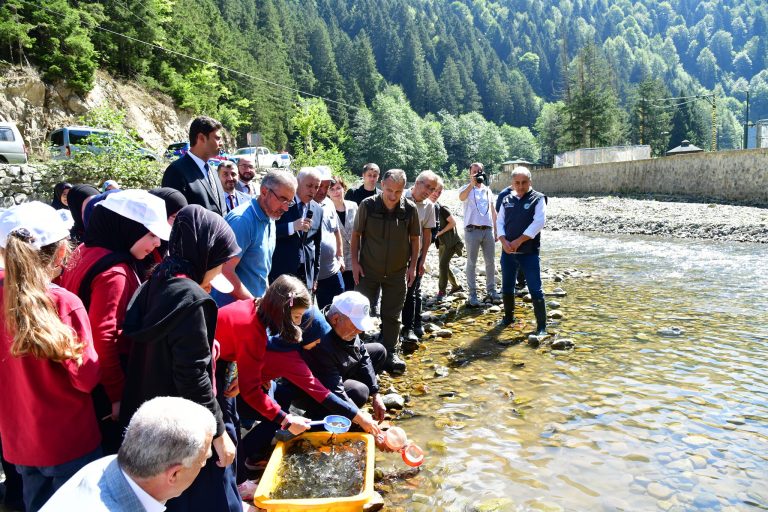 Vali Yıldırım Derelere Yavru Alabalık Bıraktı