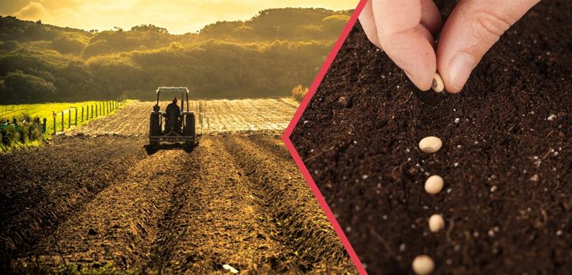 Yaklaşık 263 Milyon Liralık Tarımsal Destekleme Ödemesi Hesaplara Aktarılıyor