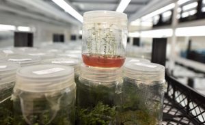 Bölgedeki tarımsal üretim için önemli adımlar atılıyor