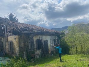 Trabzon’da Kokarcaya Karşı Yoğun Mücadele
