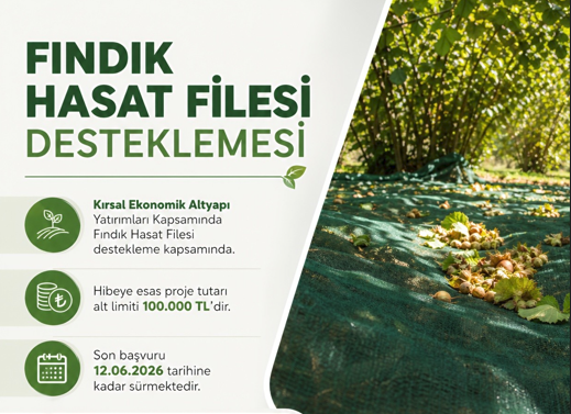 Fındık Üreticilerine Hasat Filesi İçin Hibe Desteği
